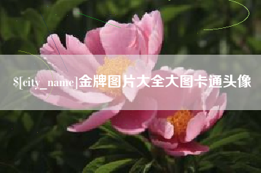 萍乡金牌图片大全大图卡通头像
