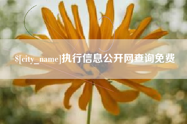 萍乡执行信息公开网查询免费