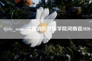 萍乡中国消防救援学院河南省2020